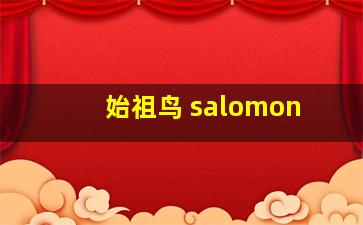 始祖鸟 salomon